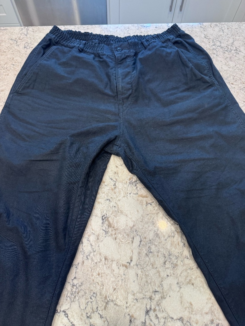 Sage de Cret Cotton/Linen Back Satin Tapered Pants Naxy ( XL)